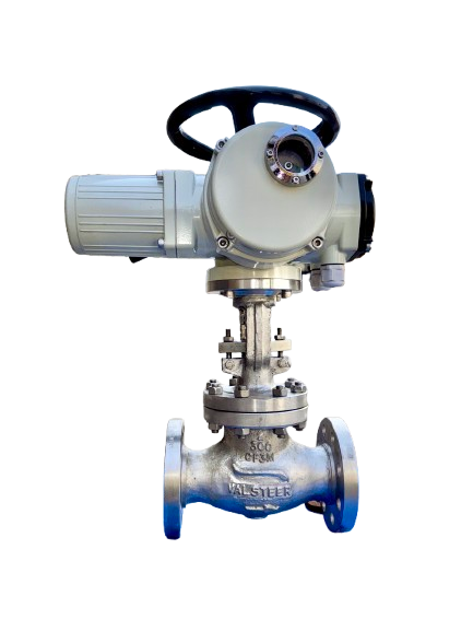Globe Valve Manufacturer in India