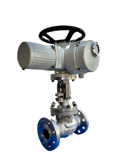 Globe Valve Supplier