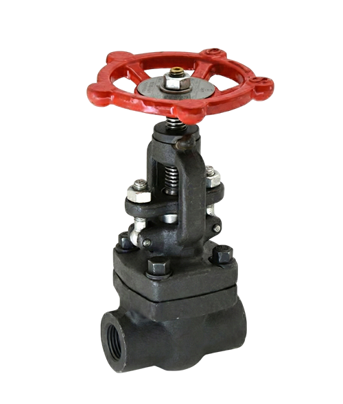 Forged-Globe-Valve-Manufacturer