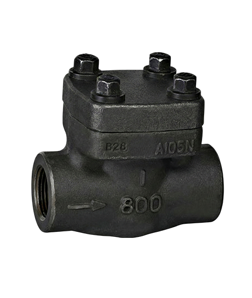 Forged-Piston-Check-Valve-Manufacturer